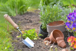 Cuánto cuesta cuidar y mantener un jardín